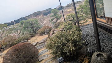 偕楽園本園に投稿された画像（2025/3/15）