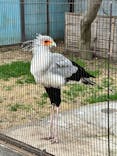 恩賜上野動物園に投稿された画像（2025/3/15）