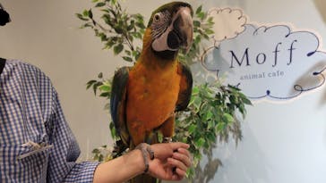 Moff animal cafe イオンモール新利府店に投稿された画像（2025/3/15）