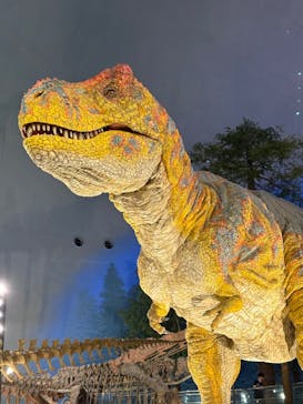 福井県立恐竜博物館に投稿された画像（2025/3/15）