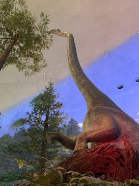 福井県立恐竜博物館に投稿された画像（2025/3/15）