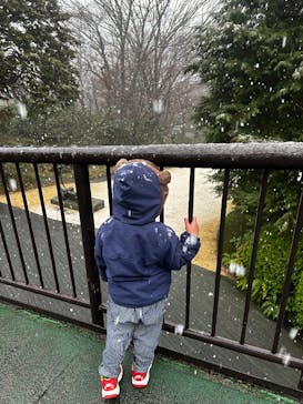 彫刻の森美術館に投稿された画像（2025/3/15）