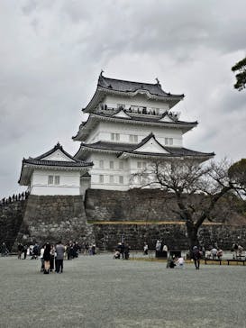 小田原城に投稿された画像（2025/3/15）