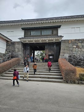 小田原城に投稿された画像（2025/3/15）