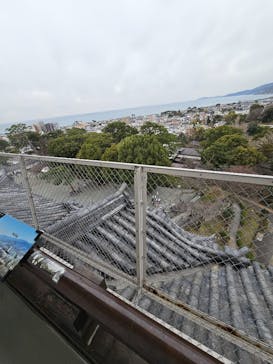 小田原城に投稿された画像（2025/3/15）