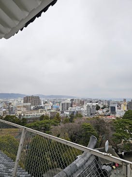 小田原城に投稿された画像（2025/3/15）