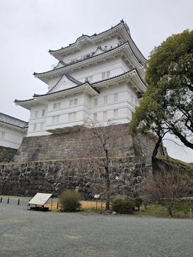 小田原城に投稿された画像（2025/3/15）