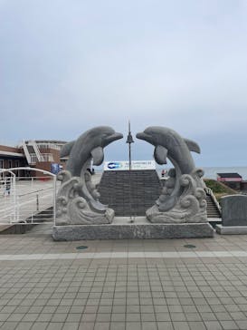 アクアワールド茨城県大洗水族館に投稿された画像（2025/3/15）