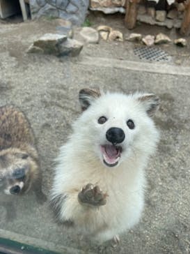 しろとり動物園に投稿された画像（2025/3/15）
