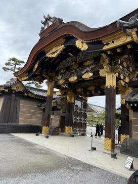 元離宮二条城に投稿された画像（2025/3/15）