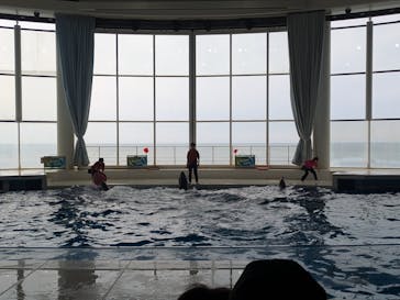 アクアワールド茨城県大洗水族館に投稿された画像（2025/3/15）