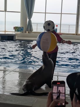 アクアワールド茨城県大洗水族館に投稿された画像（2025/3/15）