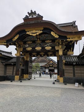 元離宮二条城に投稿された画像（2025/3/15）