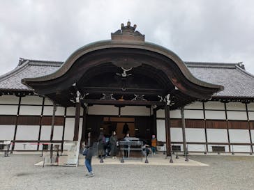 元離宮二条城に投稿された画像（2025/3/15）