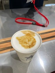 Cat Café MOFF イオンモール浜松志都呂店に投稿された画像（2025/3/15）