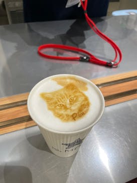 Cat Café MOFF イオンモール浜松志都呂店に投稿された画像（2025/3/15）