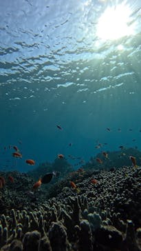  マリンショップHAPPYに投稿された画像（2025/3/15）