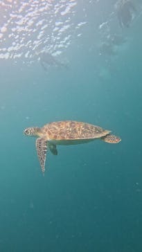  マリンショップHAPPYに投稿された画像（2025/3/15）