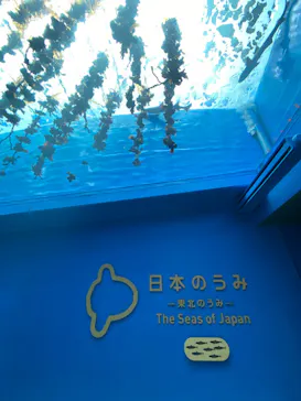 仙台うみの杜水族館に投稿された画像（2025/3/15）
