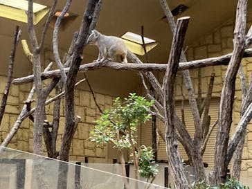 名古屋市東山動植物園に投稿された画像（2025/3/15）