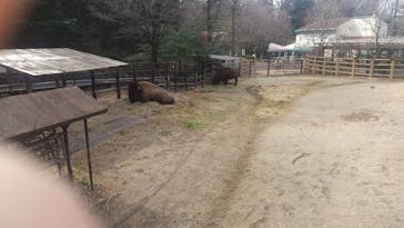 名古屋市東山動植物園に投稿された画像（2025/3/15）