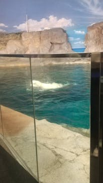 名古屋港水族館に投稿された画像（2025/3/15）