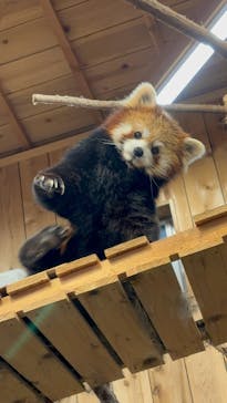伊豆シャボテン動物公園に投稿された画像（2025/3/15）