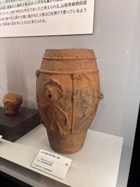 特別展「古代DNA－日本人のきた道」（国立科学博物館）に投稿された画像（2025/3/15）