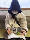 アロハガーデンたてやまに投稿された画像（2025/3/15）