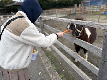 アロハガーデンたてやまに投稿された画像（2025/3/15）