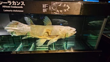 環境水族館アクアマリンふくしまに投稿された画像（2025/3/15）