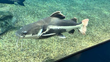 箱根園水族館に投稿された画像（2025/3/15）