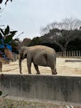 千葉市動物公園に投稿された画像（2025/3/16）