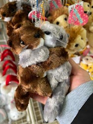 千葉市動物公園に投稿された画像（2025/3/15）