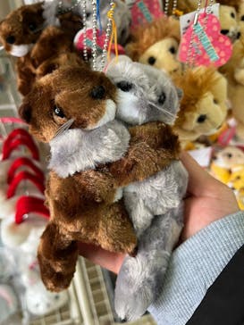 千葉市動物公園に投稿された画像（2025/3/15）