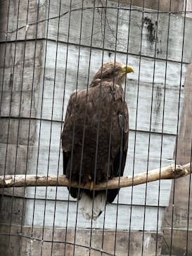 千葉市動物公園に投稿された画像（2025/3/15）
