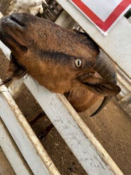 千葉市動物公園に投稿された画像（2025/3/15）