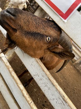 千葉市動物公園に投稿された画像（2025/3/15）