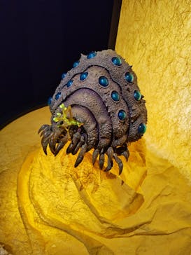 金曜ロードショーとジブリ展　三重展に投稿された画像（2025/3/15）