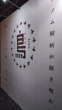 特別展「鳥～ゲノム解析が解き明かす新しい鳥類の系統～」に投稿された画像（2025/3/15）