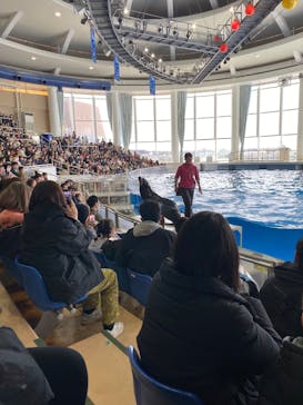 アクアワールド茨城県大洗水族館に投稿された画像（2025/3/15）