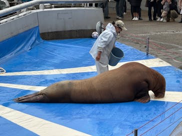大分マリーンパレス水族館 「うみたまご」に投稿された画像（2025/3/15）