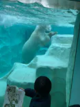 恩賜上野動物園に投稿された画像（2025/3/16）