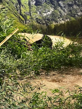 恩賜上野動物園に投稿された画像（2025/3/16）