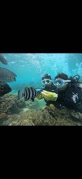 青の洞窟専門店　沖縄ダイビングショップ和に投稿された画像（2025/3/16）