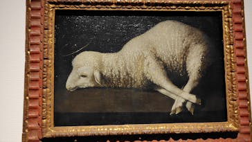 西洋絵画、どこから見るか？―ルネサンスから印象派まで　サンディエゴ美術館 vs 国立西洋美術館に投稿された画像（2025/3/16）