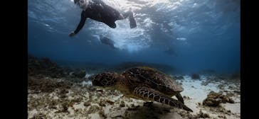 Dive Center OKKYに投稿された画像（2025/3/16）