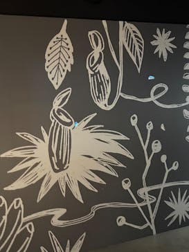 カワスイ 川崎⽔族館に投稿された画像（2025/3/16）