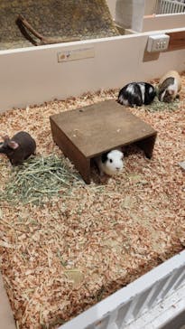 アニタッチららぽーと名古屋みなとアクルスに投稿された画像（2025/3/16）