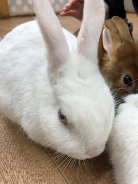 東京あそびマーレに投稿された画像（2025/3/16）